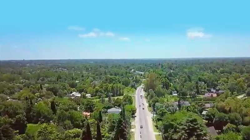 Municipalidad de Escobar negó desforestación en la ruta 26 | Política