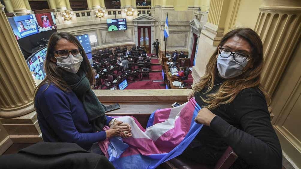 El Senado convirtió en Ley el proyecto sobre cupo laboral travesti trans | Política