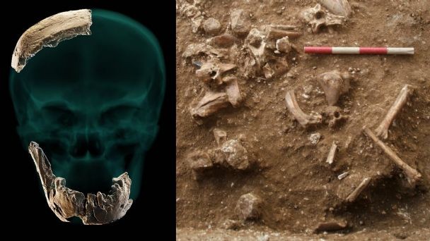 Investigadores israelíes hallaron restos de una nueva especie de hombre prehistórico | Internacionales