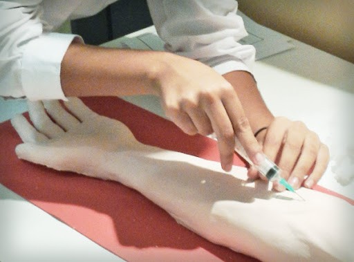 Dotarán de biosimuladores a carreras de 46 universidades | Actualidad