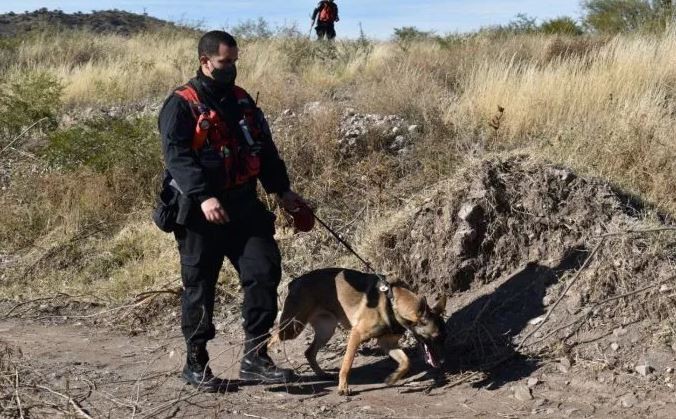 San Luis: continúan los rastrillajes en búsqueda de Guadalupe Lucero | Actualidad
