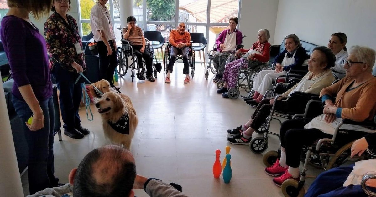 Proponen que perros y gatos puedan convivir con adultos mayores en los geriátricos porteños | Actualidad