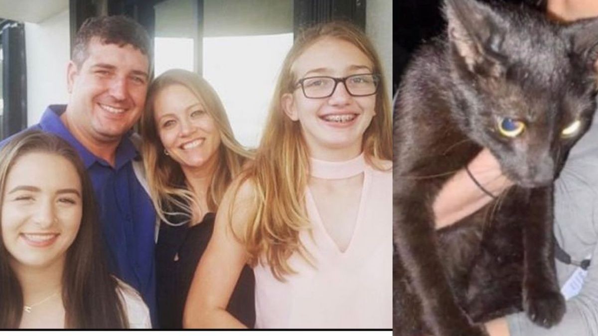 La historia de "Binx", el gato negro que sobrevivió al derrumbe de Miami y reapareció entre los escombros | Internacionales