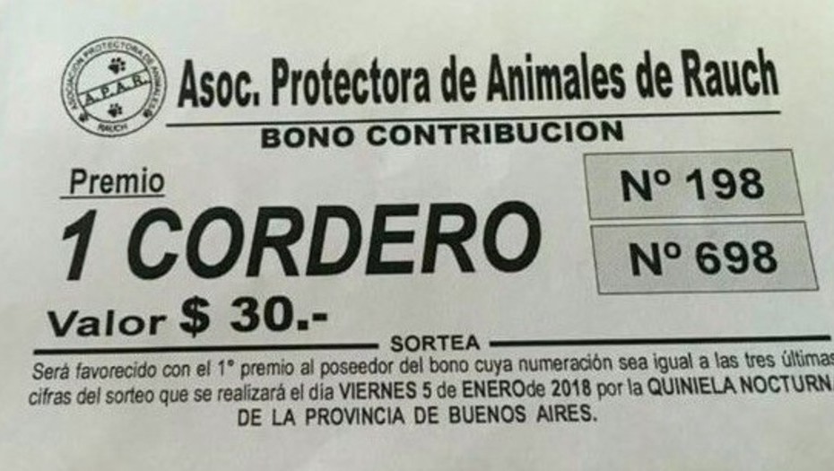 Una sociedad protectora de animales sortea un cordero para recaudar fondos | Actualidad