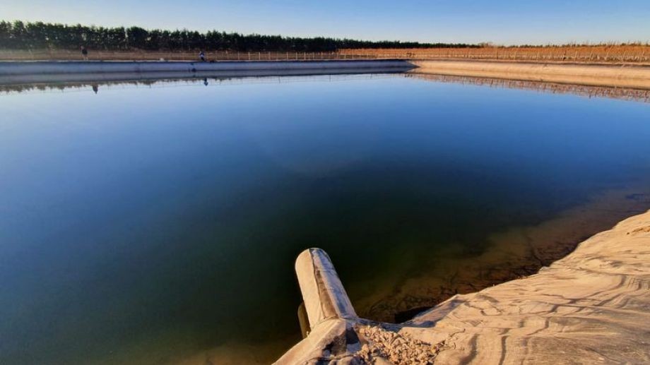 Hallan muerta a una pareja dentro de un piletón de riego: habrían intentado rescatar a un perro | Actualidad