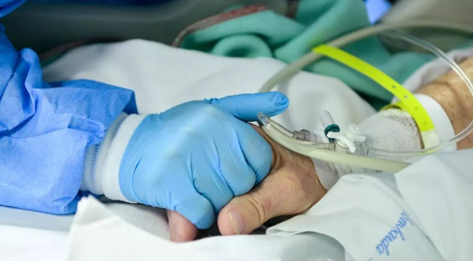 Informe del Conicet compara el Covid con las principales causas de muerte en el país | Actualidad