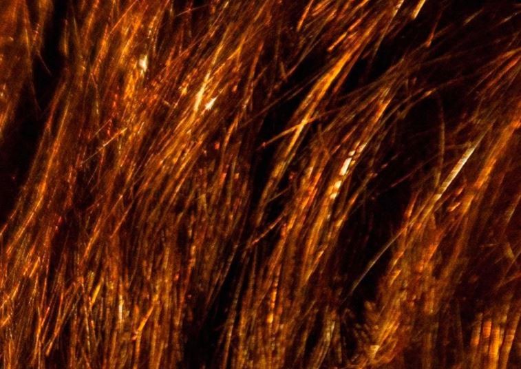 La extraña imagen con la que Juntos por el Cambio lanzó la candidatura de Santilli en la provincia de Buenos Aires | Política