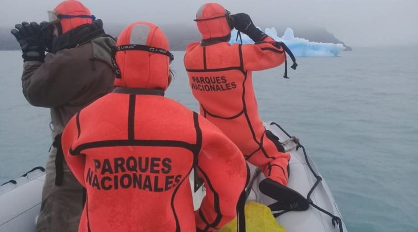 ¿Cómo terminó la historia del puma varado sobre un iceberg en la Patagonia? | Actualidad