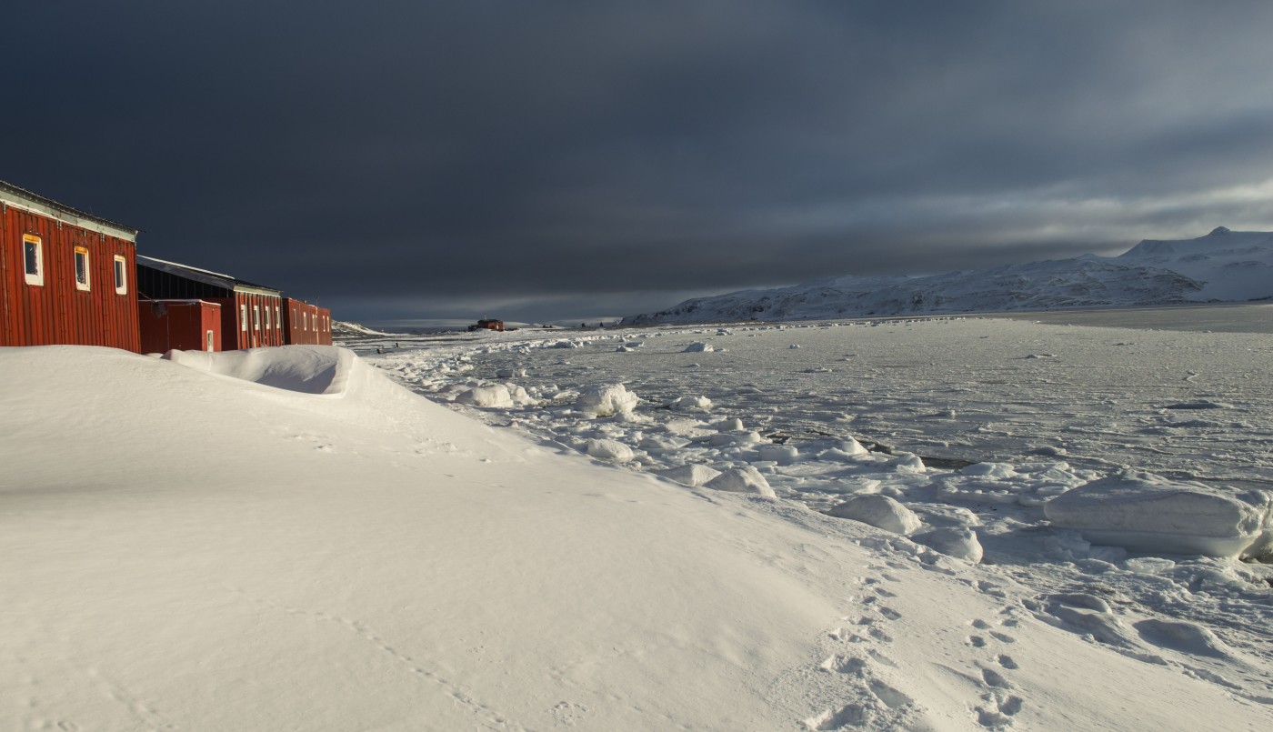 Se congeló la superficie del agua del mar frente a la Base Carlini en la Antártida | Clima, naturaleza y medio ambiente