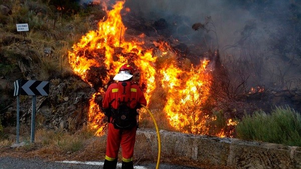 La ola de calor en el hemisferio norte causa incendios en Grecia, Turquía, Italia, España y Bulgaria | Clima, naturaleza y medio ambiente
