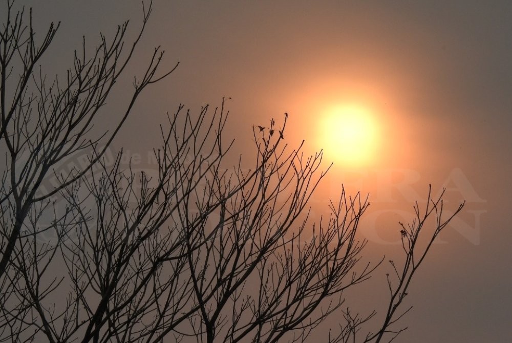 Pronostican más calor y menos lluvias para los próximos tres meses en el país | Clima, naturaleza y medio ambiente