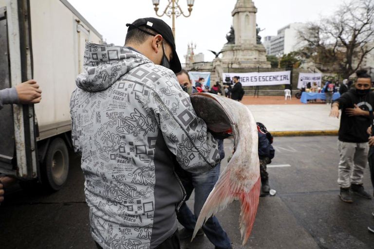 Anuncian para mañana un nuevo "pescadazo" frente al Congreso | Actualidad