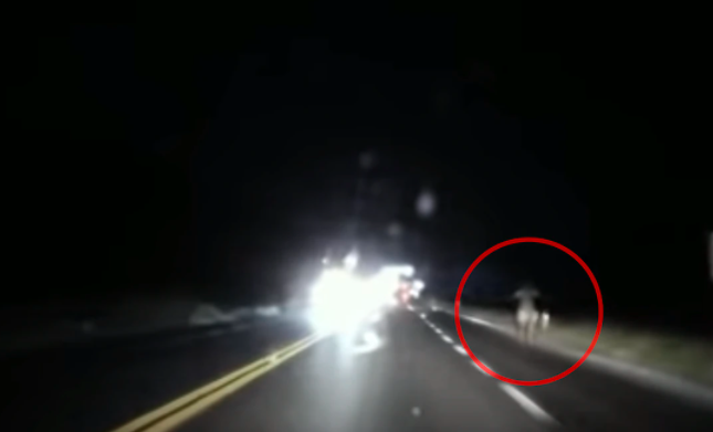 Video de terror: un hombre grabó en una ruta una imagen y todos creen que es "La Llorona" | Internacionales