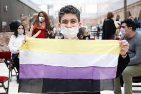 Buenos Aires busca incorporar a las personas de sexo no binario en conformación de listas | Política