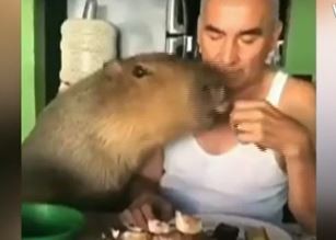 Video: El hombre que comparte un asado con un carpincho | Actualidad