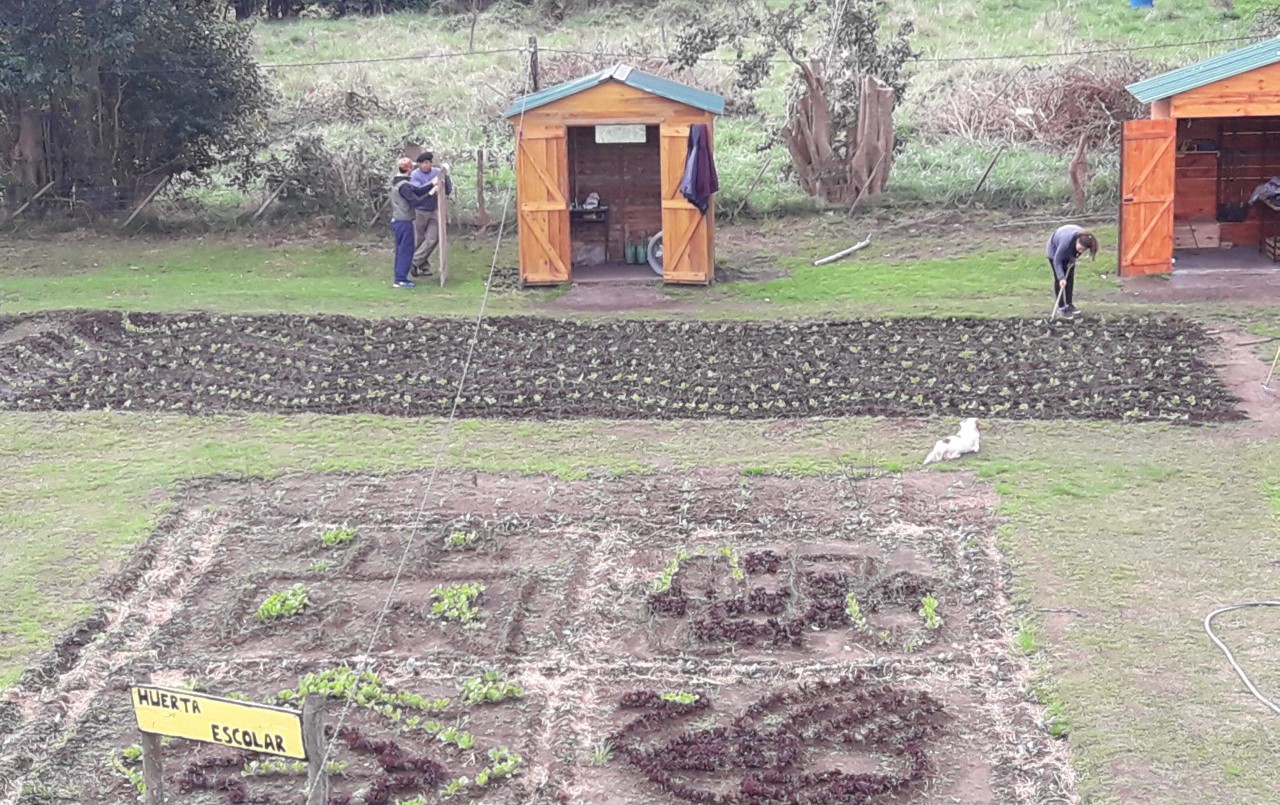 Alumnos producen verduras que luego donan a un hogar de ancianos municipal | Actualidad