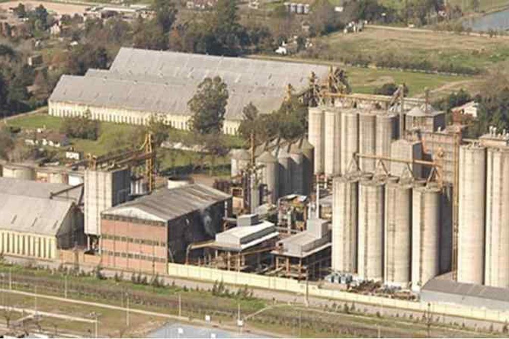 Molino Cañuelas se presentó en concurso preventivo de acreedores | Actualidad