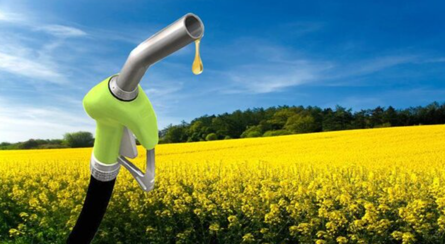 Oficializaron los aumentos en los precios del bioetanol y el biodiesel | Economía