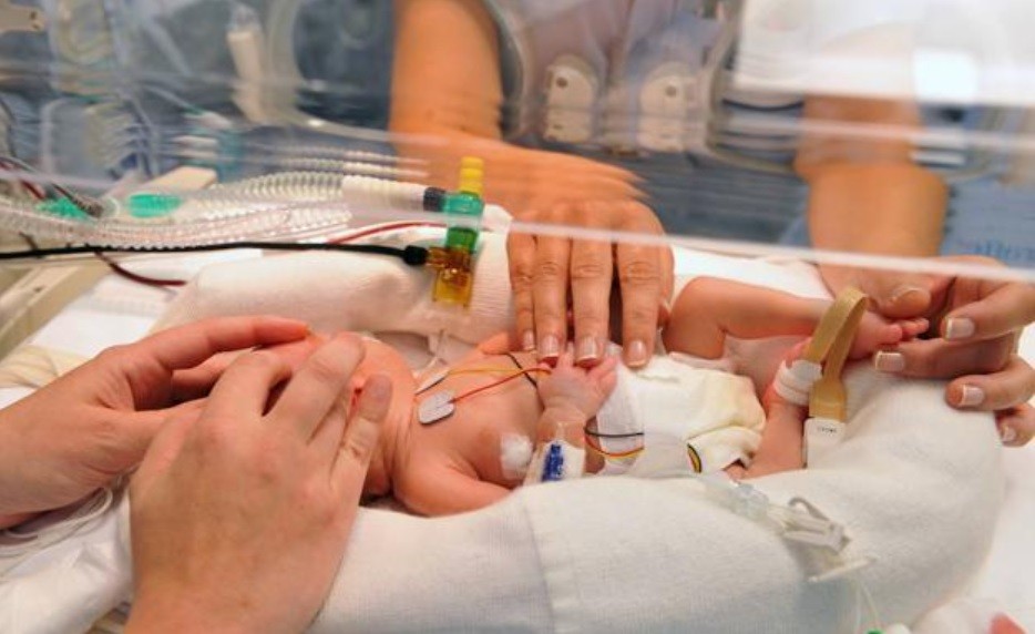 Por "error" humano, al nacer la entregaron a otra familia: se enteraron años después en un conflicto judicial por su manutención | Internacionales