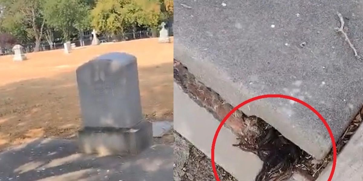 Video de terror: descubrió pelos saliendo de una tumba de más de 100 años | Internacionales