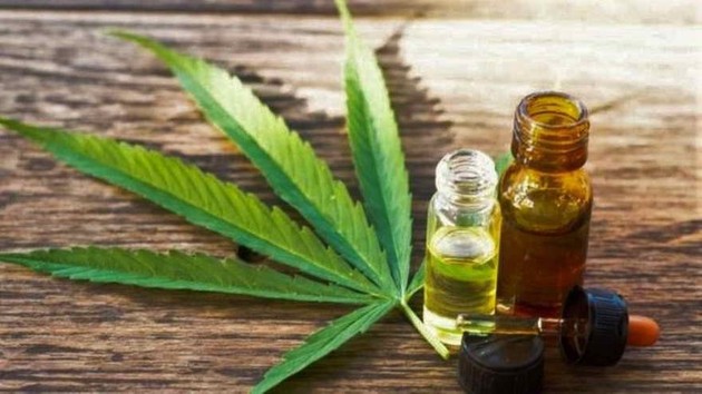 Utilizan inteligencia artificial para testear y obtener aceite de cannabis | Actualidad