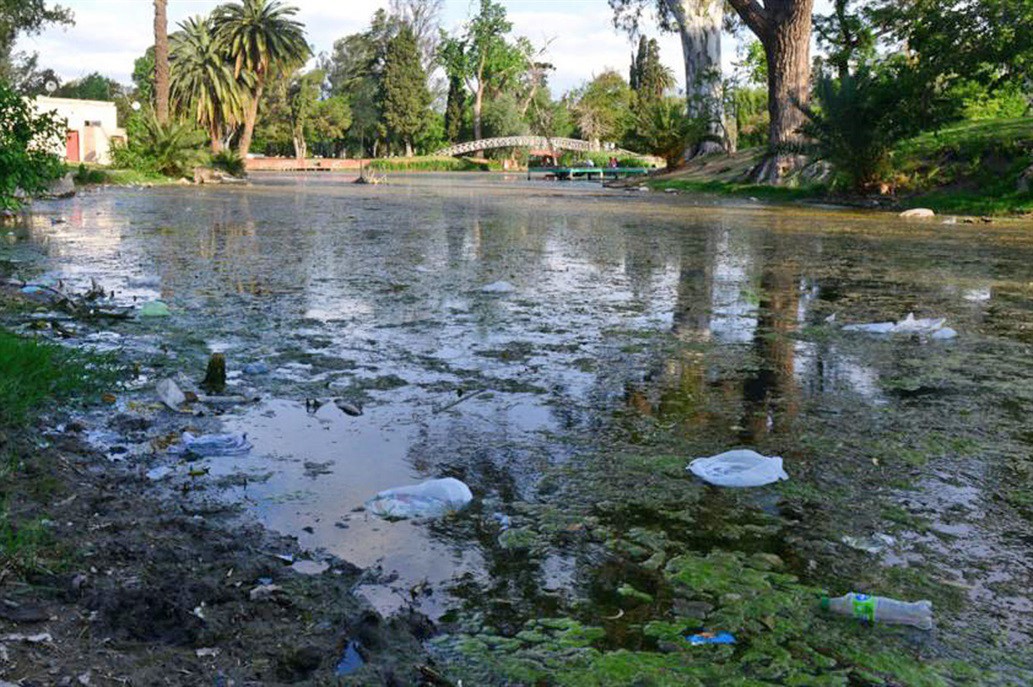 Córdoba: compraron peces para limpiar el lago artificial del Parque Sarmiento | Actualidad