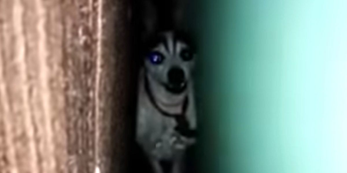 “Hola Juan Carlos”: la historia detrás del viral que la rompe en redes sociales | Internacionales