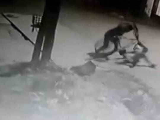 Murió el ladrón golpeado en Moreno: hay dos detenidos | Actualidad