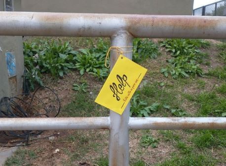 Septiembre amarillo: campaña para concientizar que el suicidio puede prevenirse | Actualidad