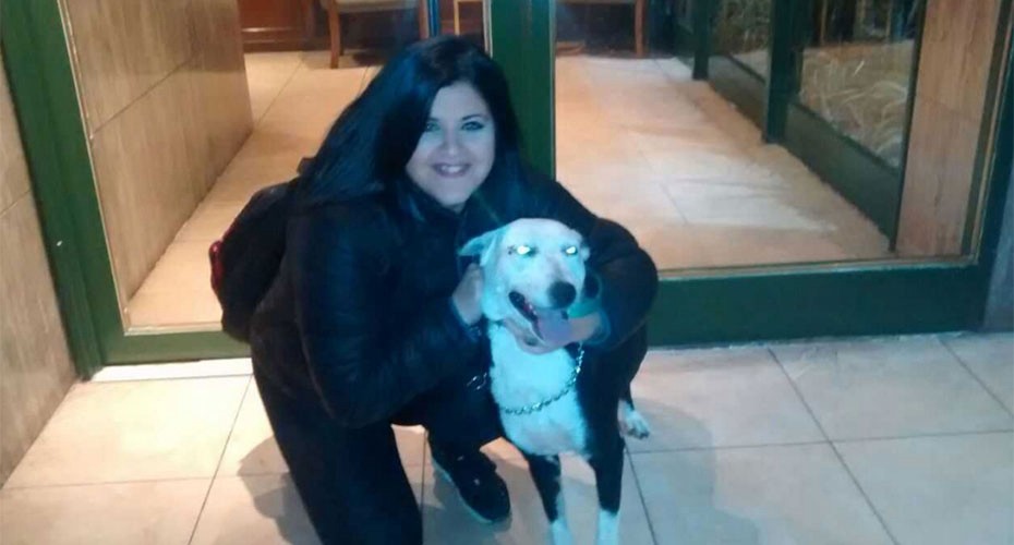 Sufrió ataque de epilepsia y la salvó una perra callejera: ahora le busca hogar | Actualidad