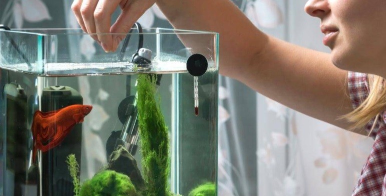 Sin viajar, contrajo una rara enfermedad tropical: hallaron la causa en su casa | Internacionales