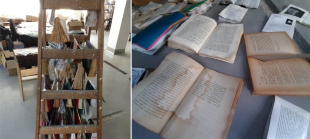 Lanzan una colecta para salvar la Biblioteca Feminaria | Actualidad