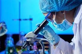 Alertan que se adelantó en diez años la resistencia bacteriana a los antibióticos | Actualidad