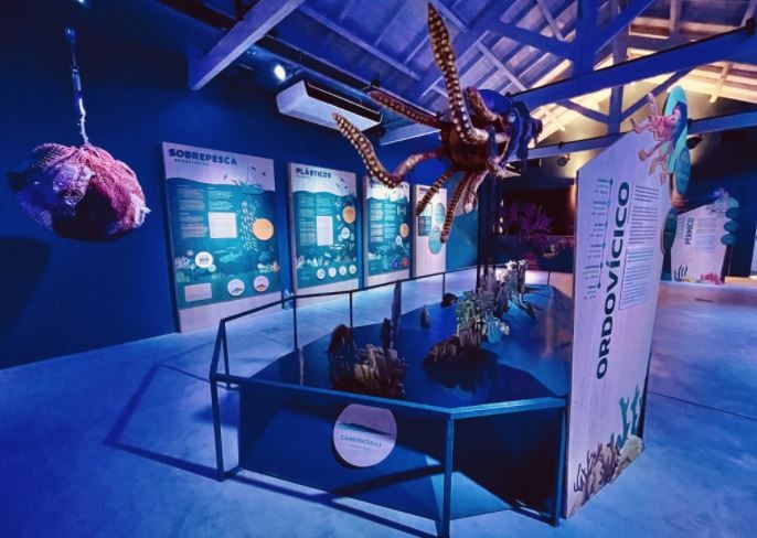 Estación Oceánica: el nuevo espacio educativo del Ecoparque porteño | Actualidad