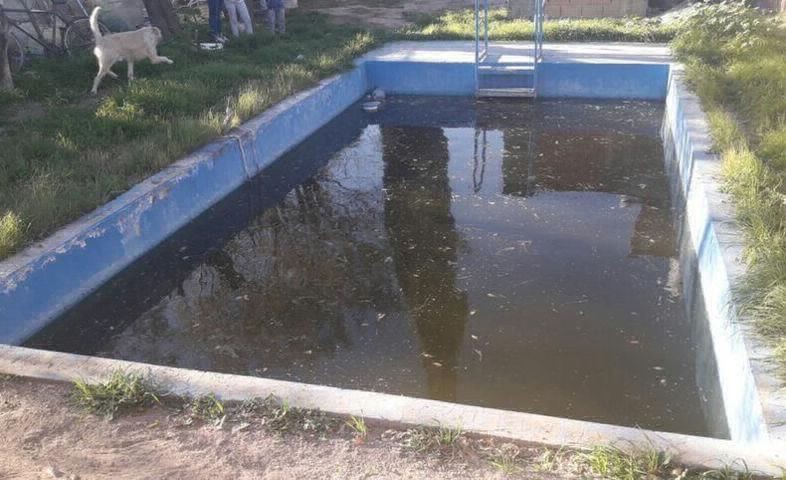 Murió ahogada una nena de dos años que cayó en una pileta de una vivienda | Actualidad