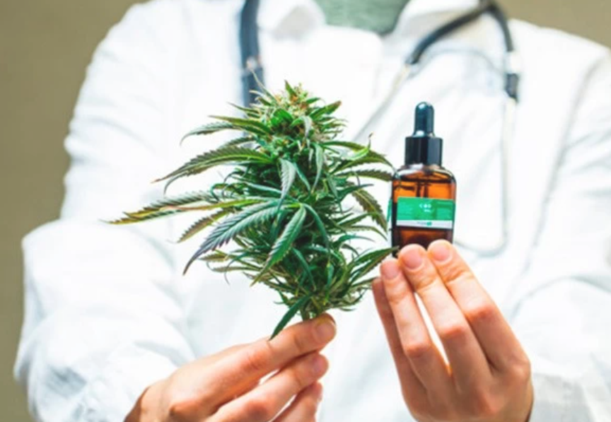 Morales consideró que el negocio del cannabis medicinal en Jujuy "es más grande que el del litio" | Actualidad