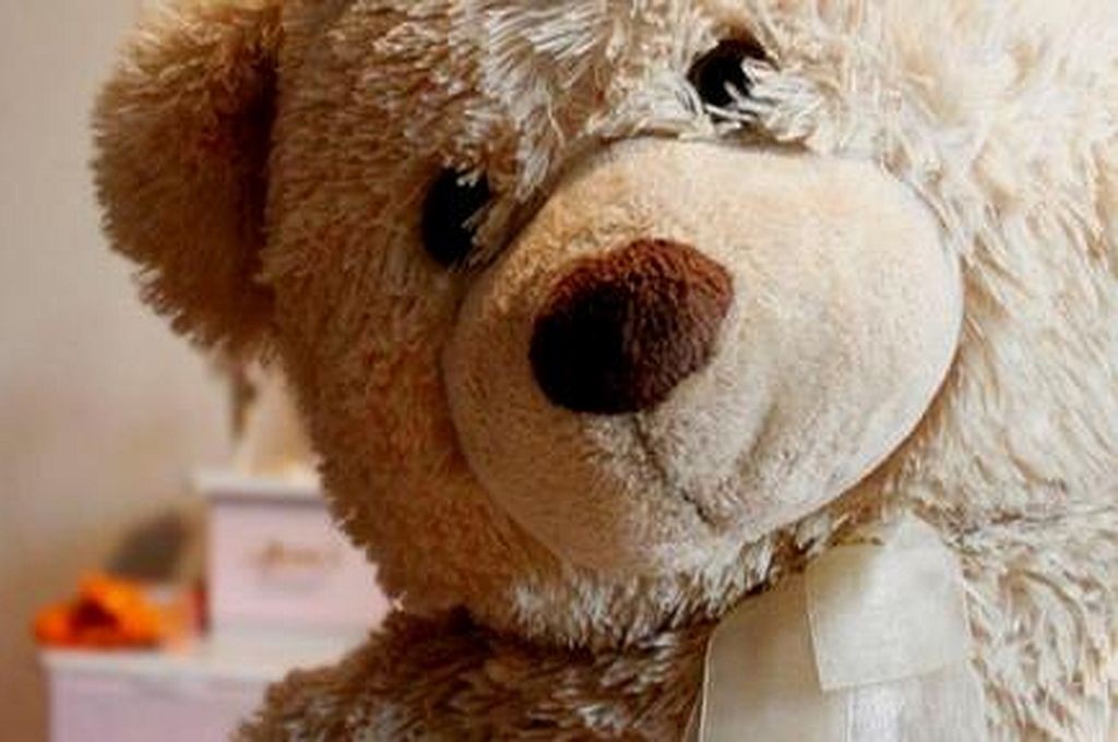 Apareció el oso que una nena santafesina buscaba intensamente | Actualidad