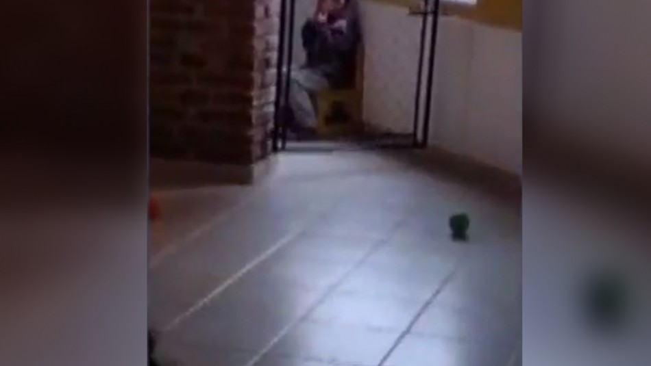 Horror en una guardería de Moreno: encerraban a un nene en la cocina para que "no contagie el llanto" | Actualidad