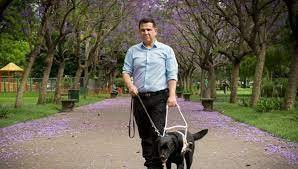 El Director de la Agencia Nacional de Discapacidad votó junto a Cleo, su perra guía | Actualidad