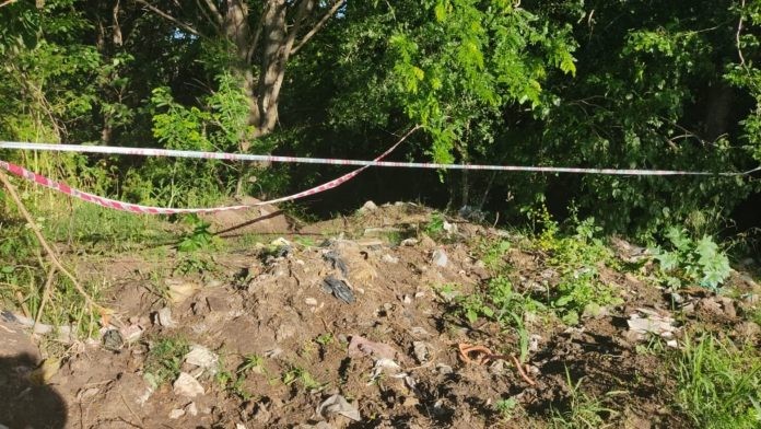 Hallaron asesinada a la joven desaparecida en Hudson hace dos días | Actualidad