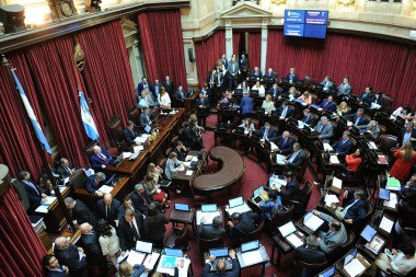 Aborto: sin dictamen, el Senado debatirá el proyecto que se aprobó en Diputados | Política