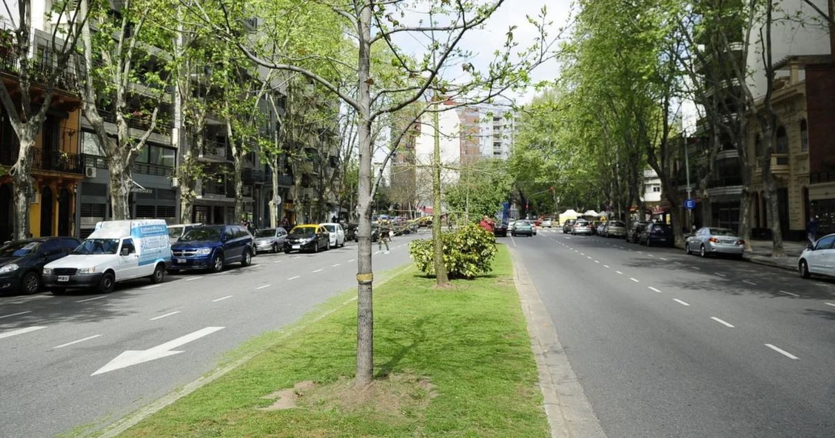 Vecinos de Caballito protestarán contra el parque lineal en la avenida Honorio Pueyrredón | Actualidad