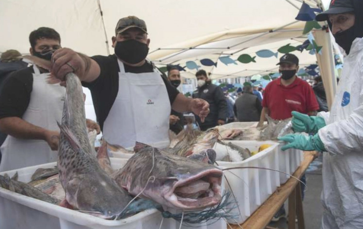 Pescadazo en el Congreso a precios accesibles | Actualidad