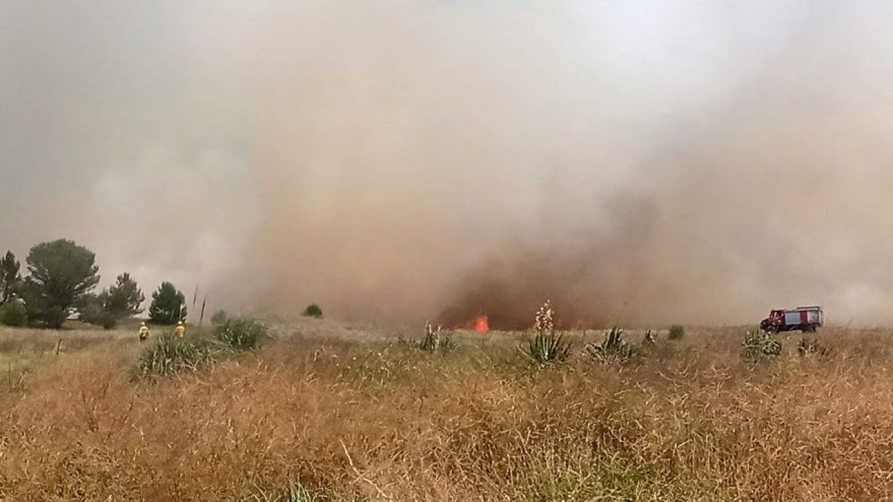 Con un avión hidrante y 15 dotaciones de bomberos controlan un incendio forestal en Mar Azul | Actualidad