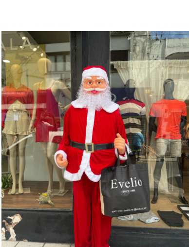 Se robaron un Papá Noel de una peatonal y fueron detenidos | Actualidad