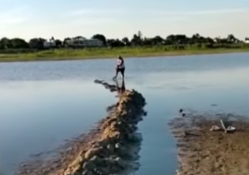 Santa Fe: un ex Gran Hermano se convirtió en “rescatista” de peces | Actualidad