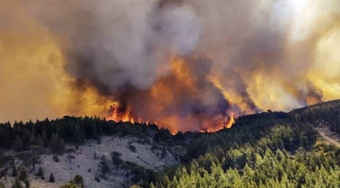Incendios: hay focos activos en siete provincias | Clima, naturaleza y medio ambiente