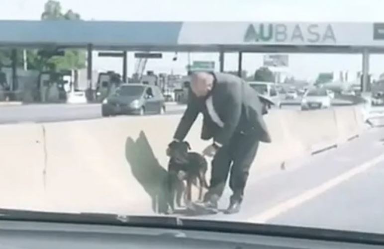 Video: Iba por la autopista, vio un perrito en el peaje y decidió rescatarlo | Actualidad