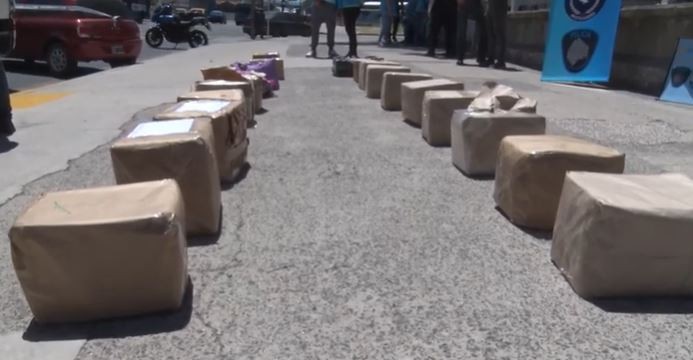 Operativo Reyes Verdes: La Ciudad incautó más de 200 kilos de marihuana provenientes de Misiones | Actualidad
