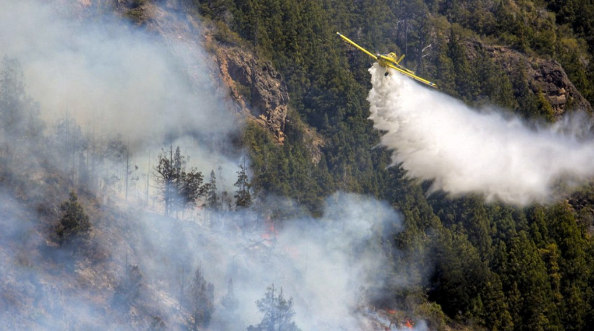 Los incendios forestales no dan tregua: hay focos activos en nueve provincias | Clima, naturaleza y medio ambiente